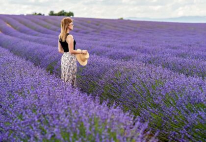 Avalon Lavender Farm