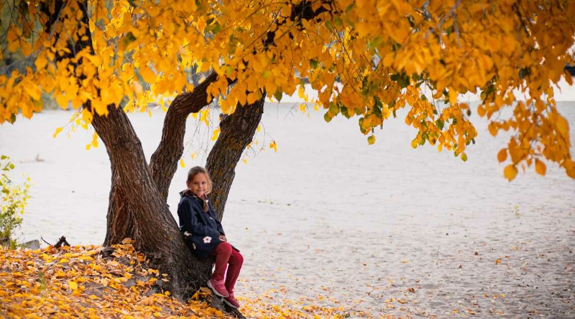 پیش بینی آب و هوا در پاییز امسال