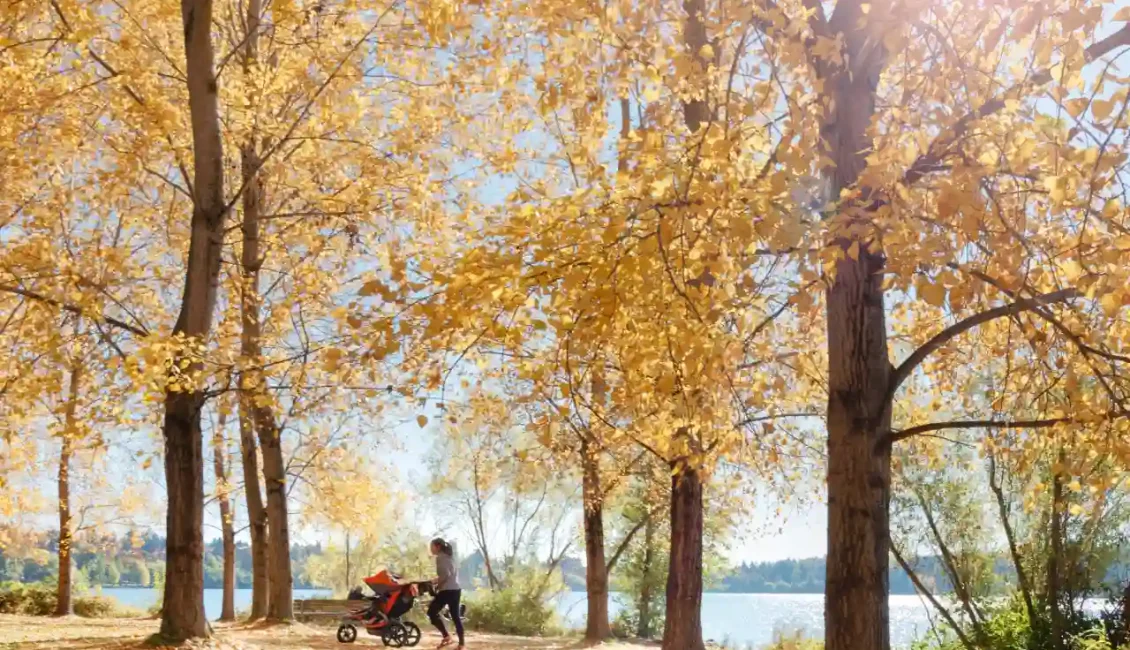 آب و هوای تورنتو