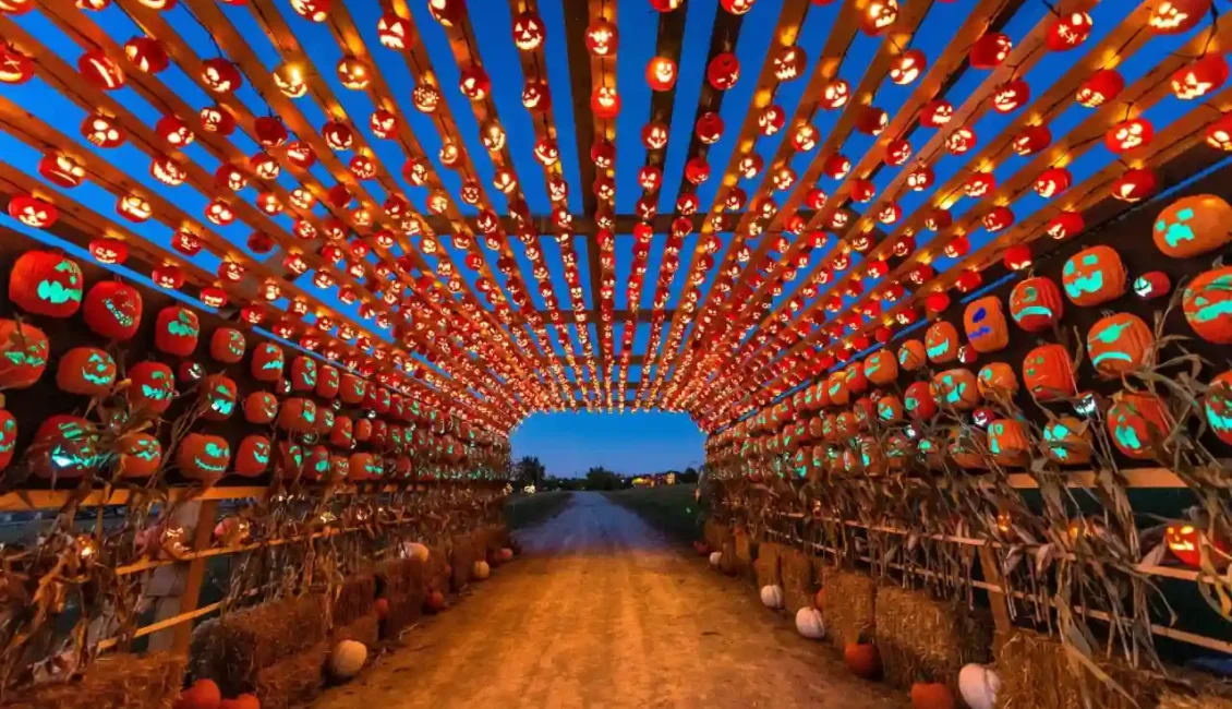 Pumpkins After Dark
