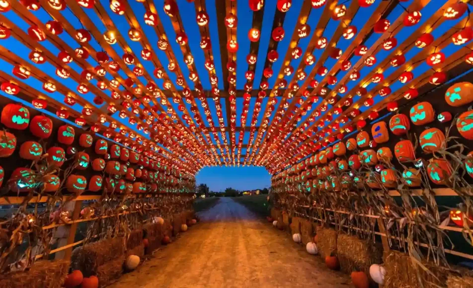 Pumpkins After Dark