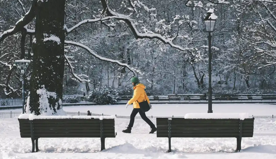 آب و هوای تورنتو