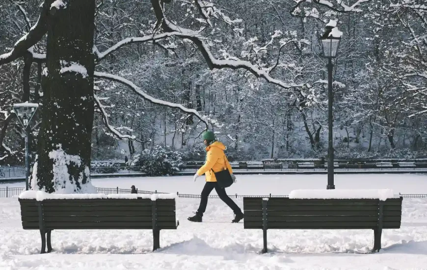 آب و هوای تورنتو