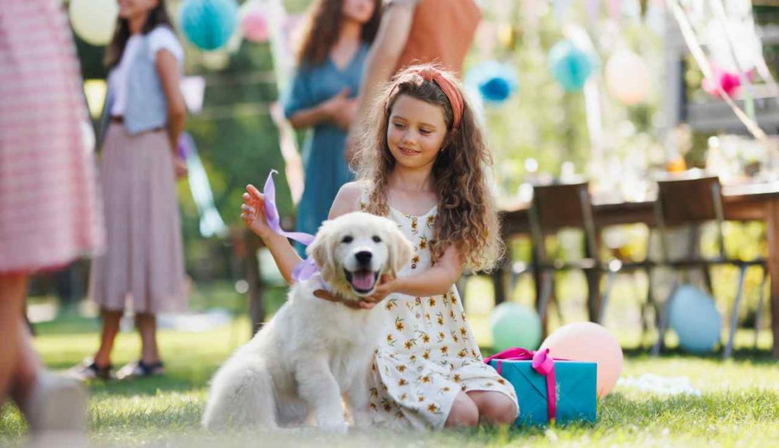 Doggie Fest 2026