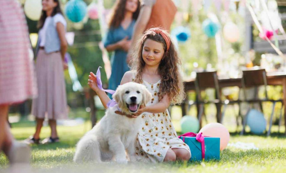 Doggie Fest 2026