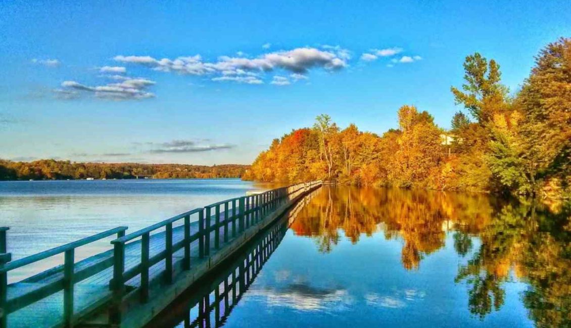 تجربه پیاده‌روی روی یک مسیر چوبی شناور